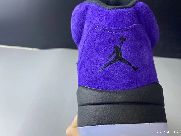 Alternate 5 Grape 136027-500 Jordan Retro Air 0615